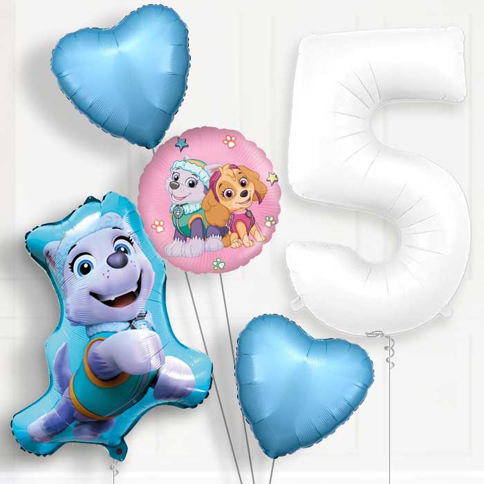 Everest Helium Balloon Package 5th Birthday - Number 5 | Small Indoor Plants