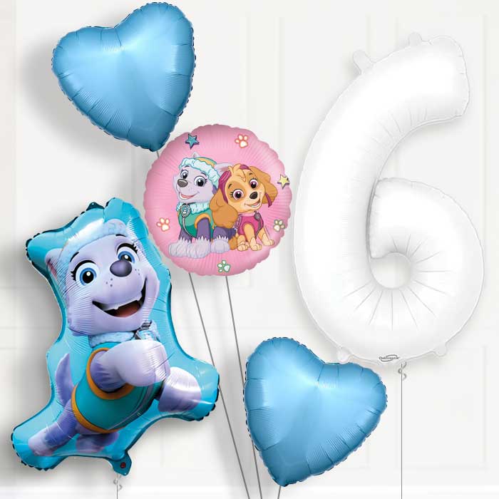 Everest Helium Balloon Package 6th Birthday - Number 6 | Small Indoor Plants