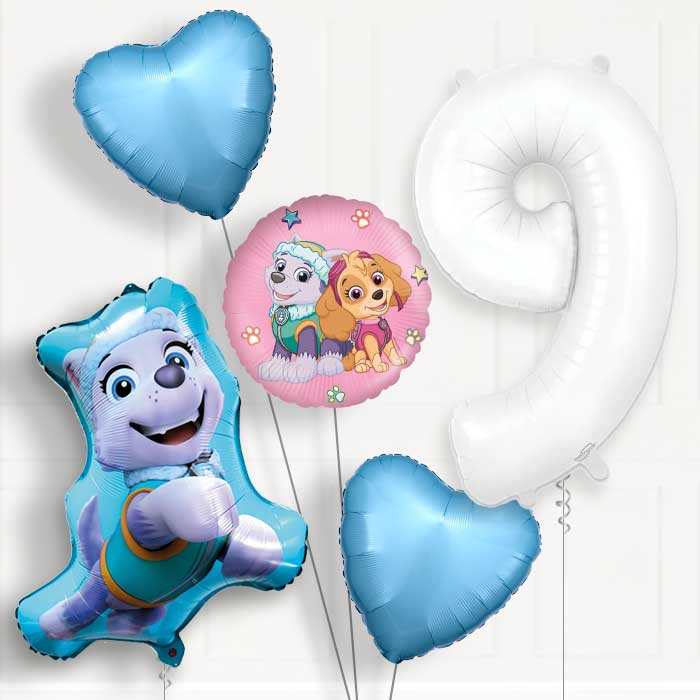 Everest Helium Balloon Package 9th Birthday - Number 9 | Small Indoor Plants