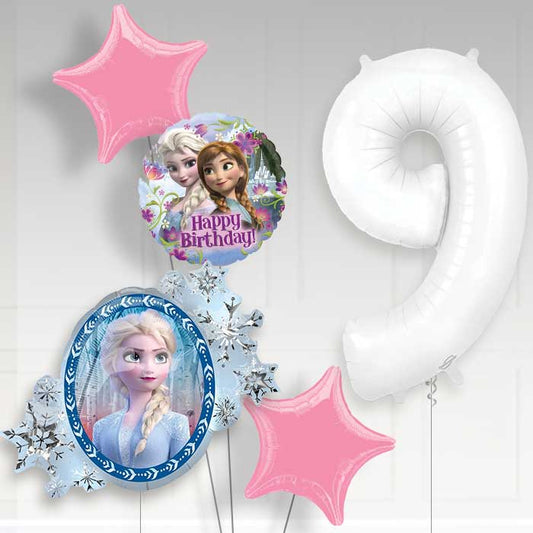 Frozen Helium Balloon Package 9th Birthday - Number 9 | Small Indoor Plants