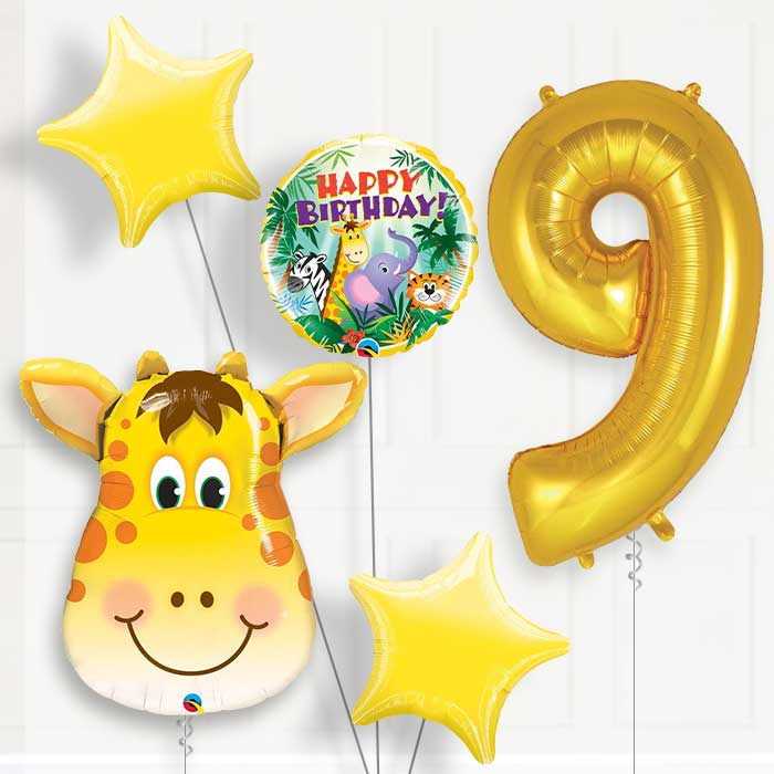 Giraffe Helium Balloon Package 9th Birthday - Number 9 | Small Indoor Plants