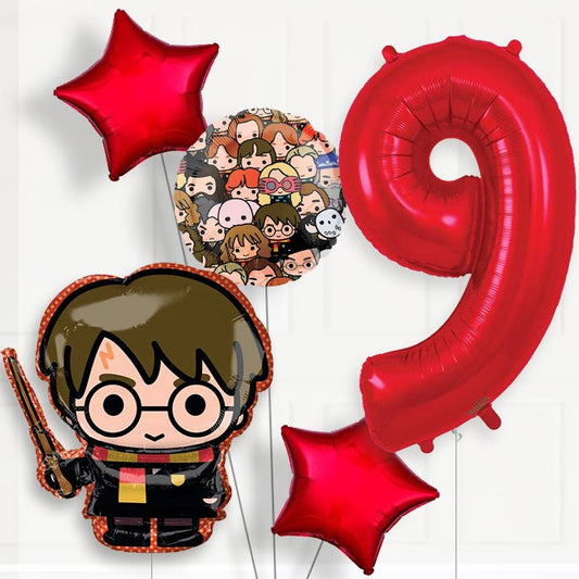 Harry Potter Helium Balloon Package 9th Birthday - Number 9 | Small Indoor Plants