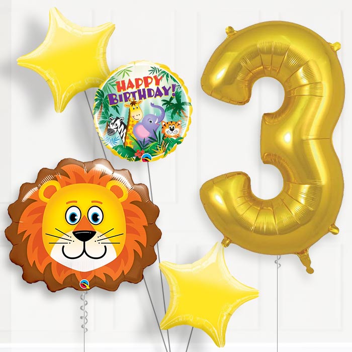 Lion Helium Balloon Package 3rd Birthday - Number 3 | Small Indoor Plants