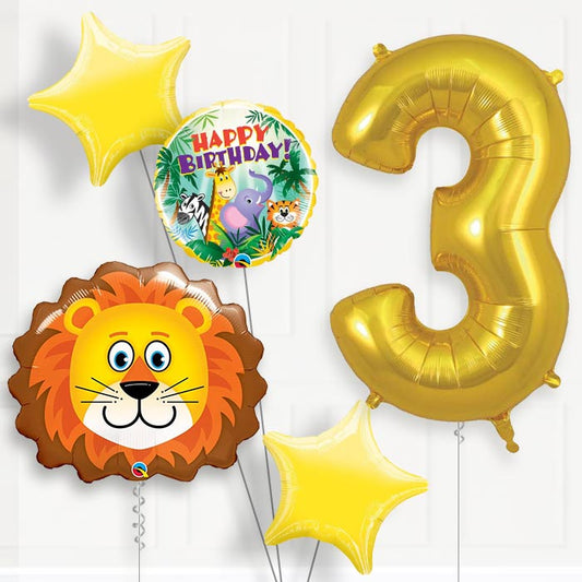 Lion Helium Balloon Package 3rd Birthday - Number 3 | Small Indoor Plants