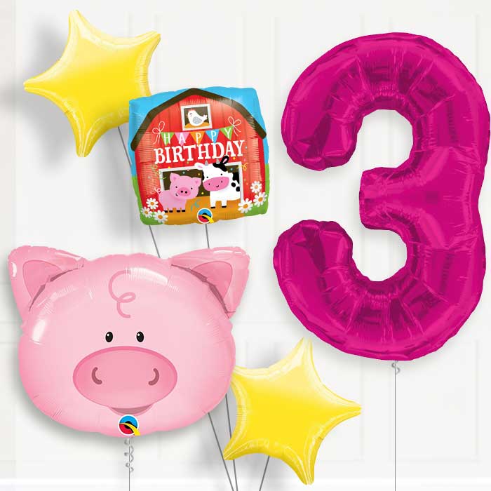 Pig Helium Balloon Package 3rd Birthday - Number 3 | Small Indoor Plants