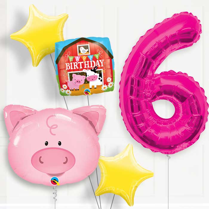 Pig Helium Balloon Package 6th Birthday - Number 6 | Small Indoor Plants