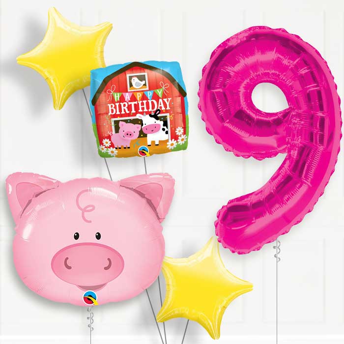 Pig Helium Balloon Package 9th Birthday - Number 9 | Small Indoor Plants