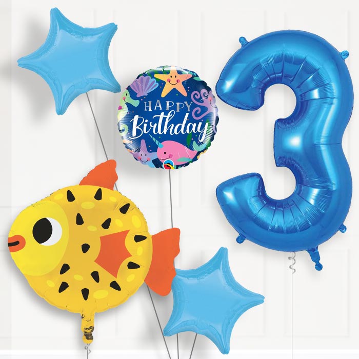 Puffer Fish Helium Balloon Package 3rd Birthday - Number 3 | Small Indoor Plants