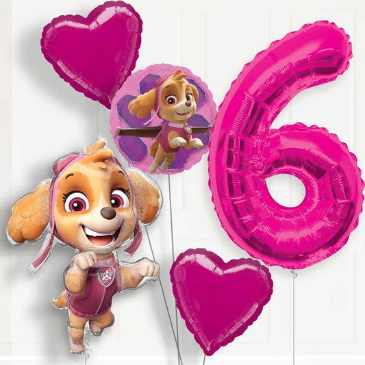 Shaped Skye Helium Balloon Package 6th Birthday - Number 6 | Small Indoor Plants