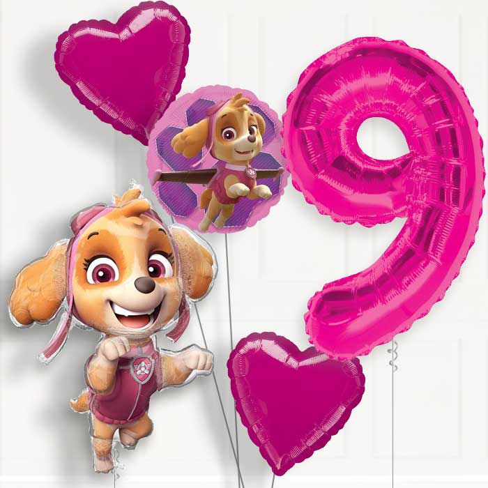 Shaped Skye Helium Balloon Package 9th Birthday - Number 9 | Small Indoor Plants