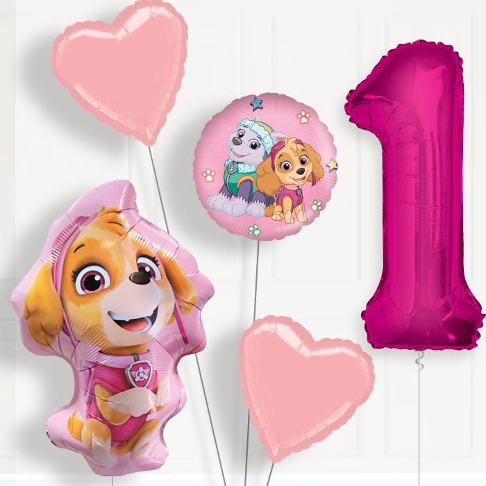 Skye Shaped Helium Balloon Package 1st Birthday - Number 1 | Small Indoor Plants
