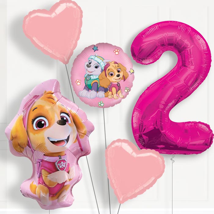 Skye Shaped Helium Balloon Package 2nd Birthday - Number 2 | Small Indoor Plants