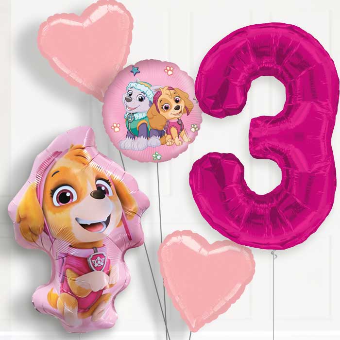 Skye Shaped Helium Balloon Package 3rd Birthday - Number 3 | Small Indoor Plants