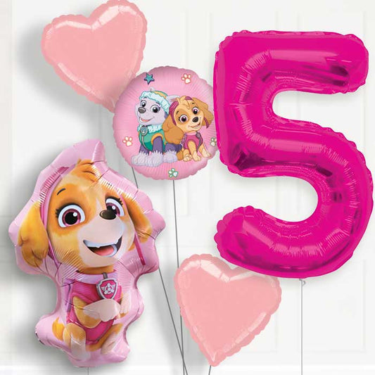 Skye Shaped Helium Balloon Package 5th Birthday - Number 5 | Small Indoor Plants
