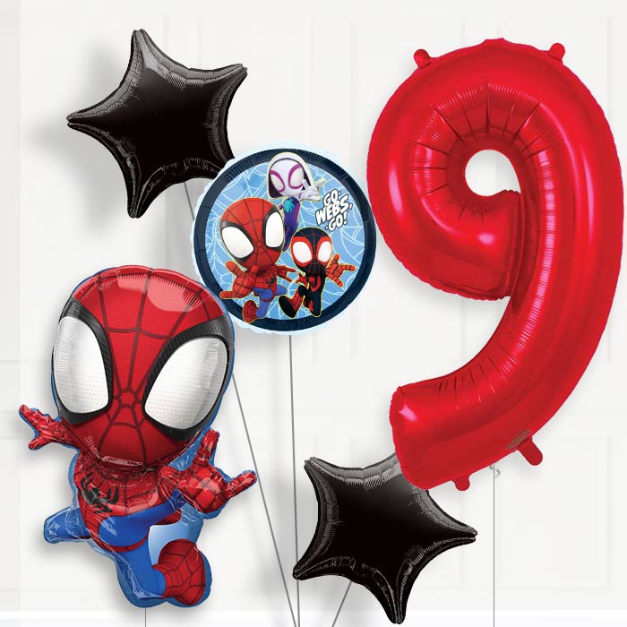Spidey and his Amazing Friends Helium Balloon Package 9th Birthday - Number 9 | Small Indoor Plants