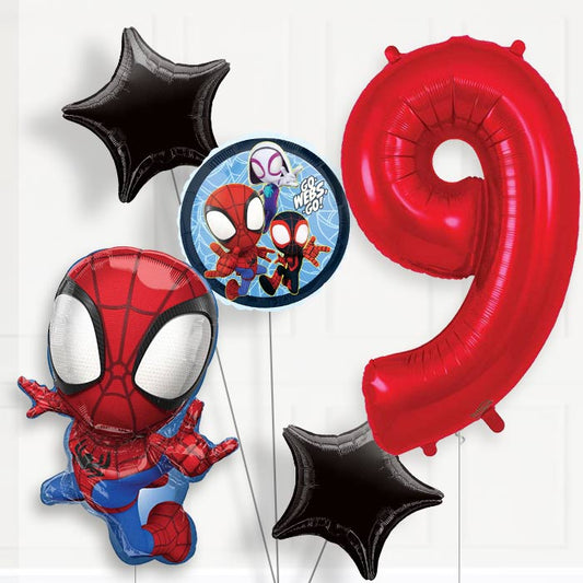 Spidey and his Amazing Friends Helium Balloon Package 9th Birthday - Number 9 | Small Indoor Plants