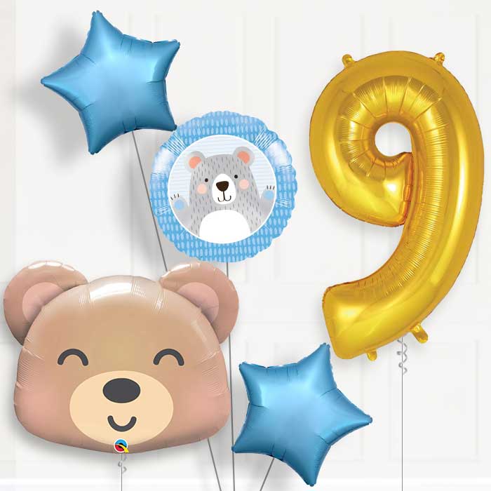 Teddy Bear Helium Balloon Package 9th Birthday - Number 9 | Small Indoor Plants