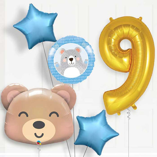 Teddy Bear Helium Balloon Package 9th Birthday - Number 9 | Small Indoor Plants