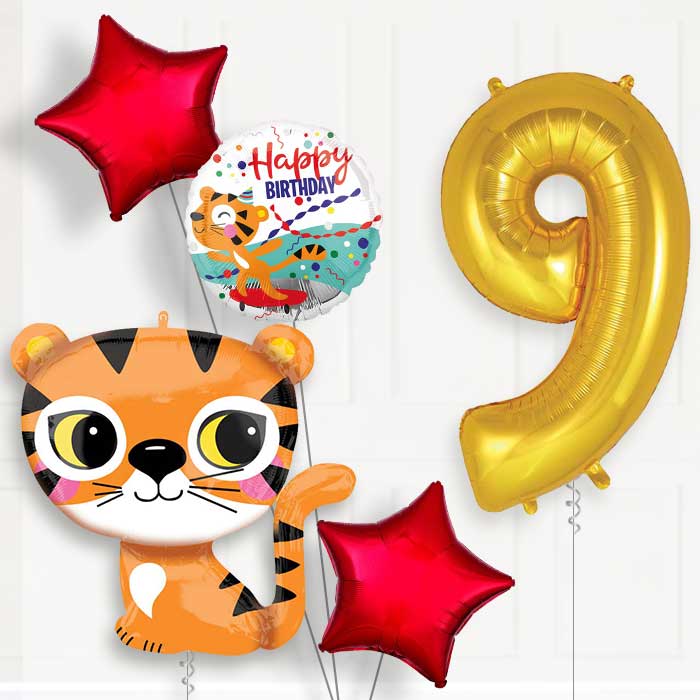 Tiger Helium Balloon Package 9th Birthday - Number 9 | Small Indoor Plants