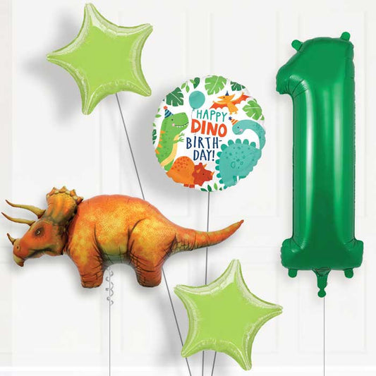 Triceratops Helium Balloon Package 1st Birthday - Number 1 | Small Indoor Plants