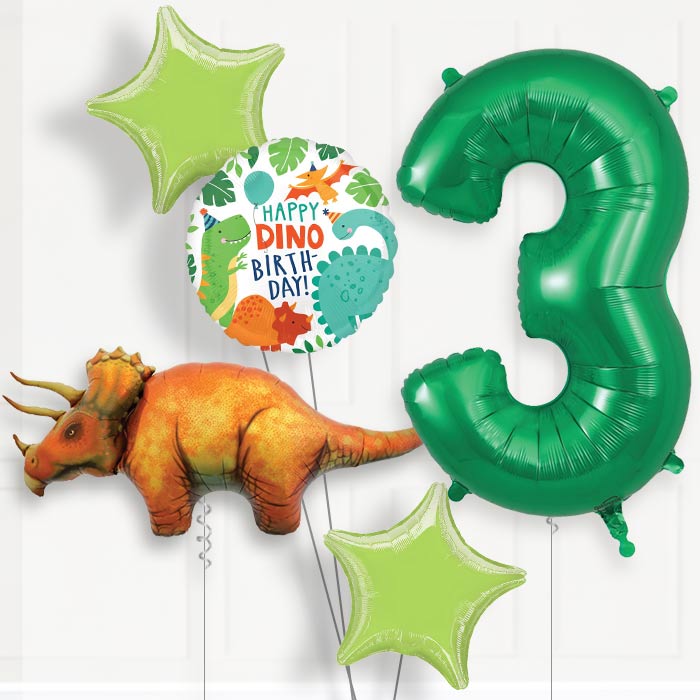 Triceratops Helium Balloon Package 3rd Birthday - Number 3 | Small Indoor Plants
