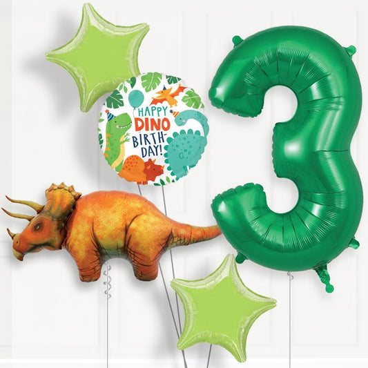 Triceratops Helium Balloon Package 3rd Birthday - Number 3 | Small Indoor Plants