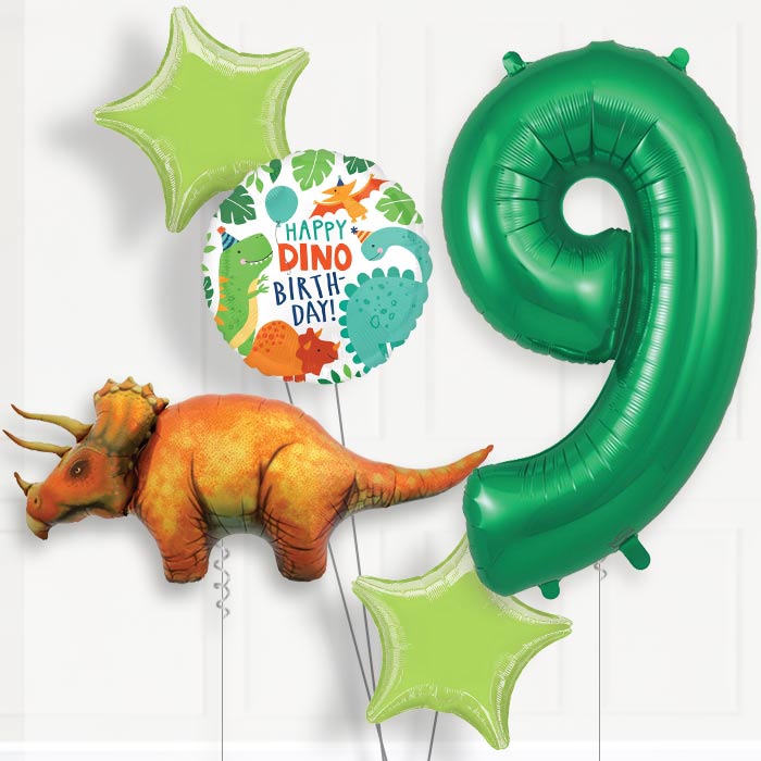 Triceratops Helium Balloon Package 9th Birthday - Number 9 | Small Indoor Plants