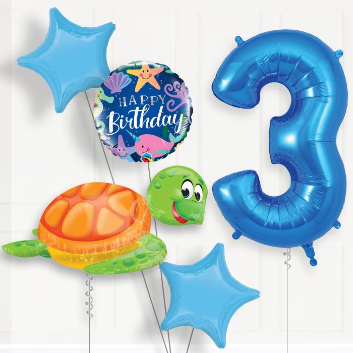 Sea Turtle Helium Balloon Package 3rd Birthday - Number 3 | Small Indoor Plants