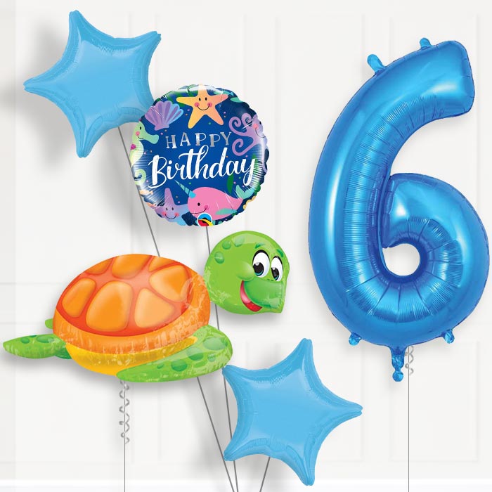 Sea Turtle Helium Balloon Package 6th Birthday - Number 6 | Small Indoor Plants