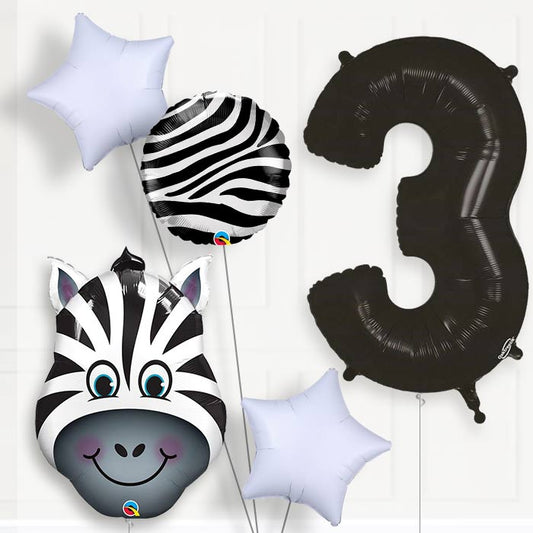 Zebra Helium Balloon Package 3rd Birthday - Number 3 | Small Indoor Plants