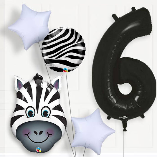 Zebra Helium Balloon Package 6th Birthday - Number 6 | Small Indoor Plants