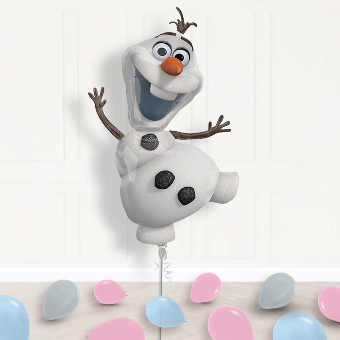 Frozen Olaf Balloon Displays in a Box - Supershape Balloon | Small Indoor Plants
