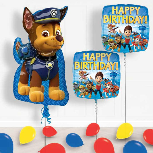 Paw Patrol Balloon Display in a Box - Package | Small Indoor Plants