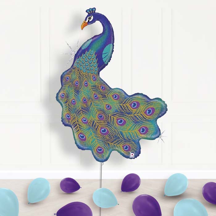 Peacock Balloon Decorations in a Box