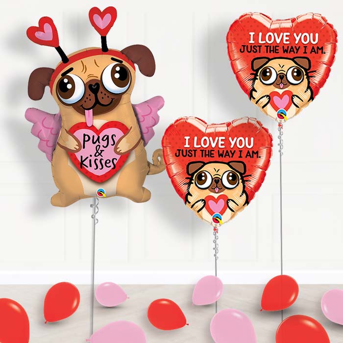 Pug Balloon Package Inflated Helium Balloons Delivered - Package | Small Indoor Plants
