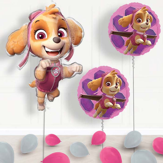 Shaped Skye Paw Patrol Balloon Package Delivered - Package | Small Indoor Plants
