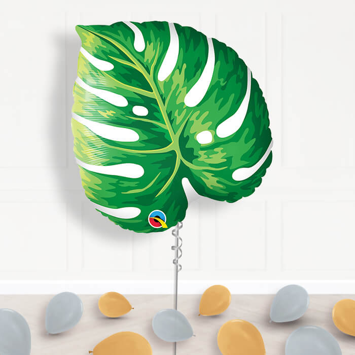 Tropical Balloon Display - Supershape Balloon | Small Indoor Plants