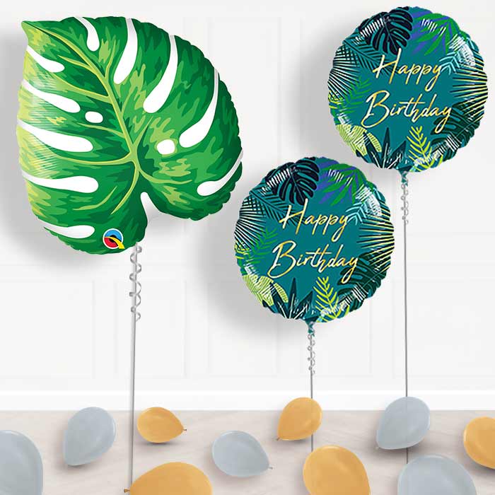 Tropical Balloon Display - Package | Small Indoor Plants