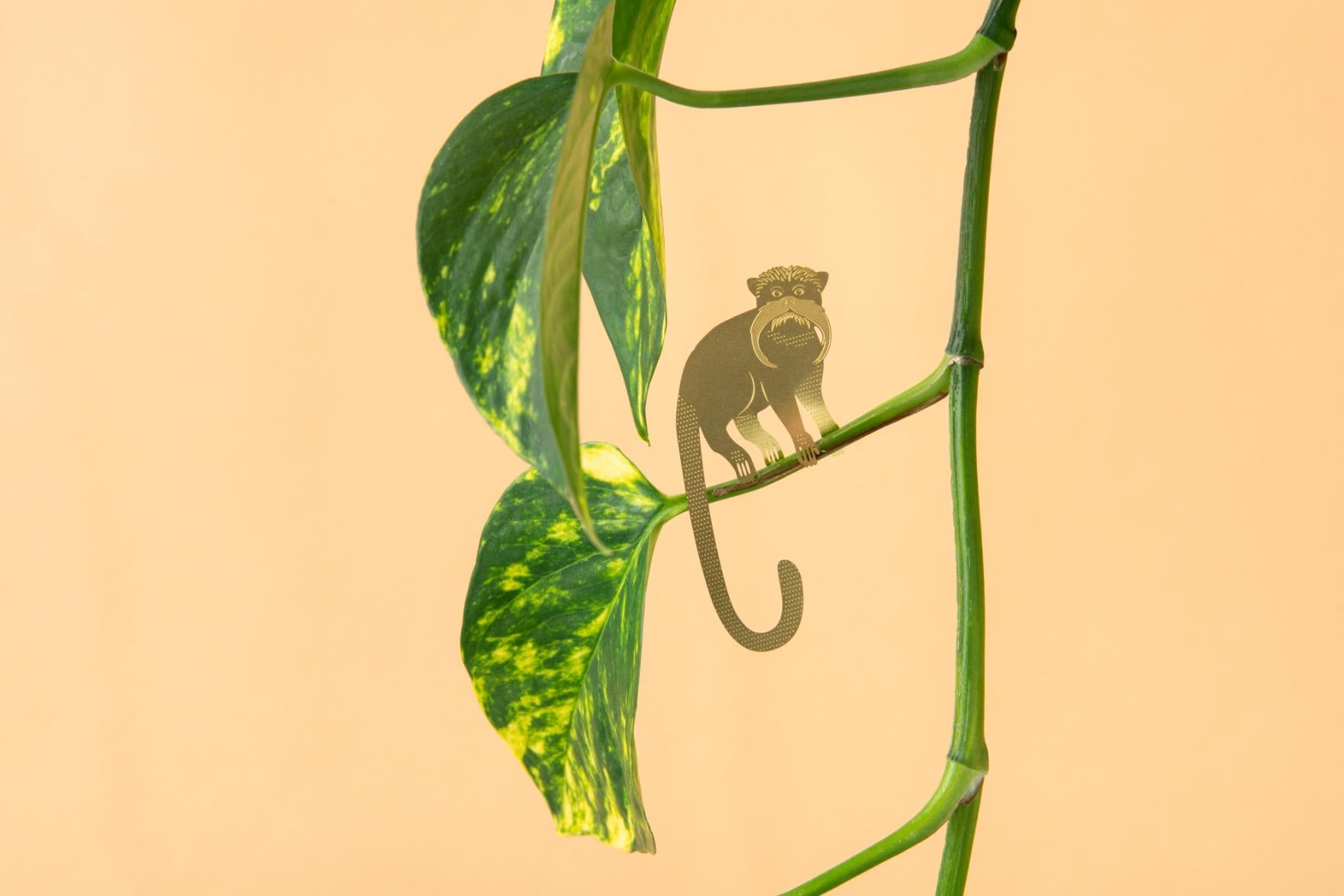 Plant Animal Tamarin Houseplant Hanging Decoration | Small Indoor Plants