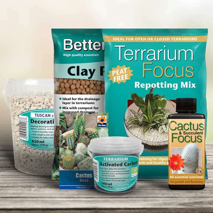 Terrarium-Bundle-5