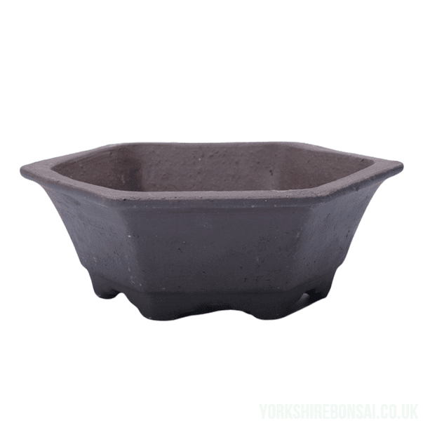 Unglazed_Bonsai_Pot_Hexagonal_18cm_x_18cm_x_5cm_YB1124_-_Yorkshire_Bonsai-27981