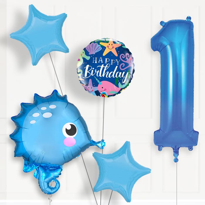 Blue Seahorse Birthday Balloon Package Choose Your Number - Number 1 | Small Indoor Plants
