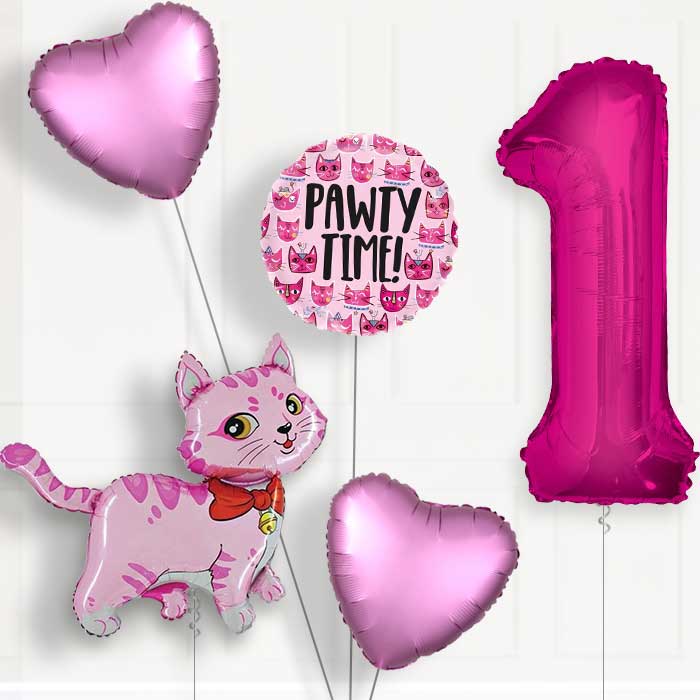Cat Party Hat Birthday Balloon Package Choose Your Number - Number 1 | Small Indoor Plants