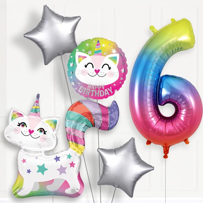 Caticorn Birthday Balloon Package Choose Your Number - Number 6 | Small Indoor Plants