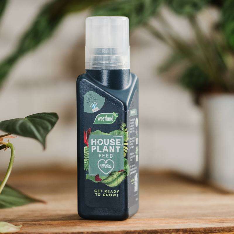 WestlandHouseplantFeedConcentratelifestyle