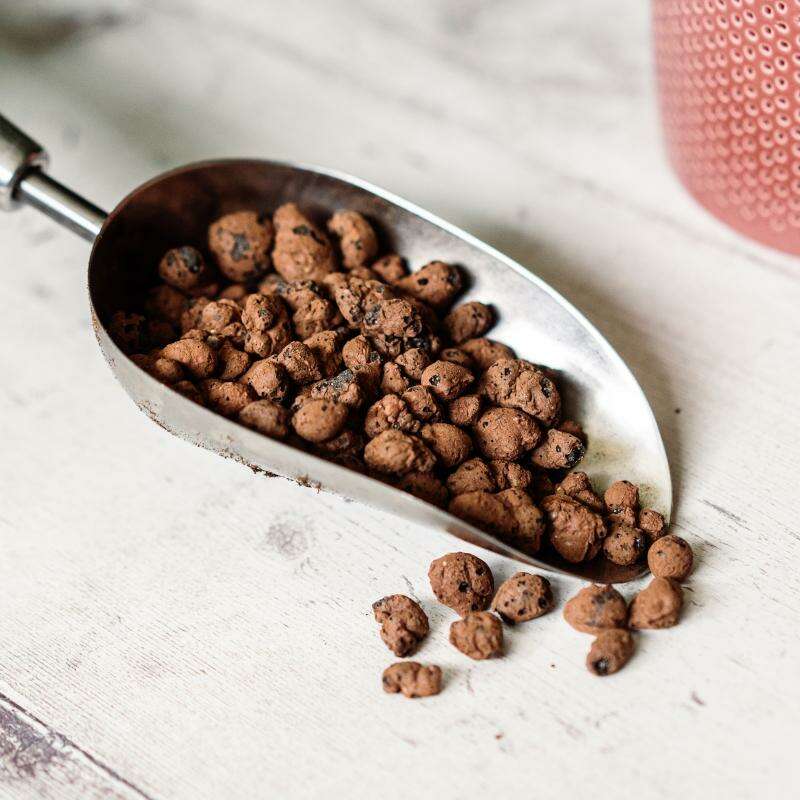 WestlandHydrolecagranulesinascoop