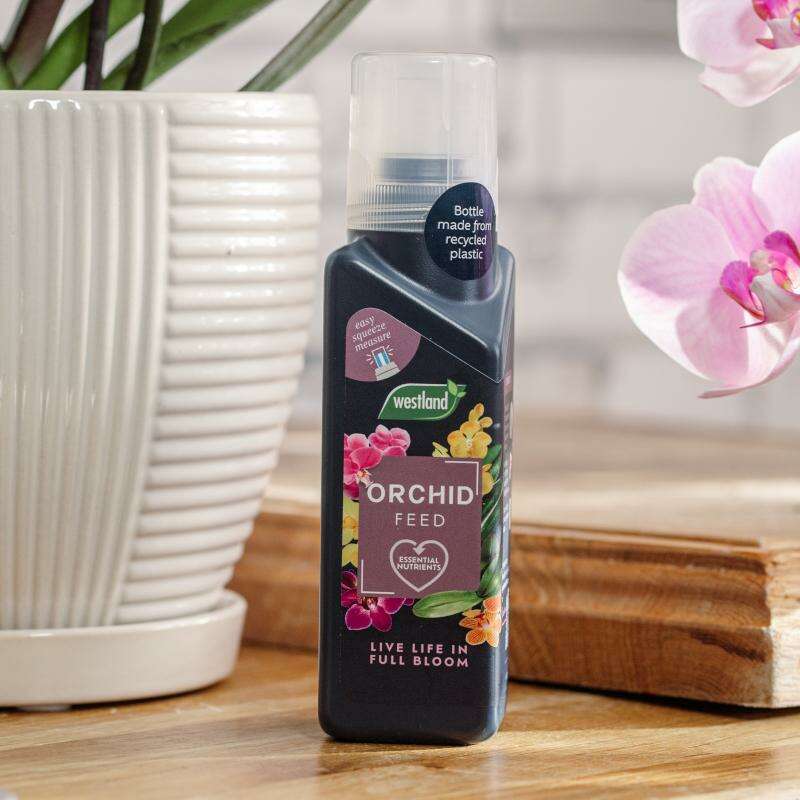 WestlandOrchidFertilizerConcentrate