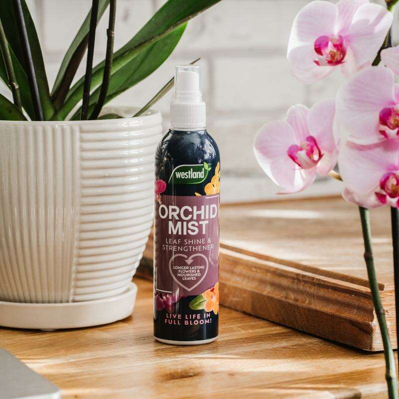 WestlandOrchidMist250ml_3