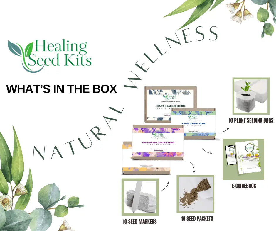 Apothecary Garden Seed Kit – 10 Traditional Herb & Tea Seeds | Grow Your Own Herbal Heritage