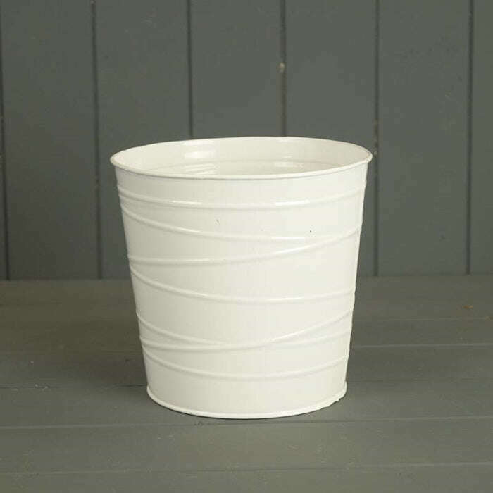 chlorophytum-comosum-houseplant-spider-plant-small-indoor-plants-e9J